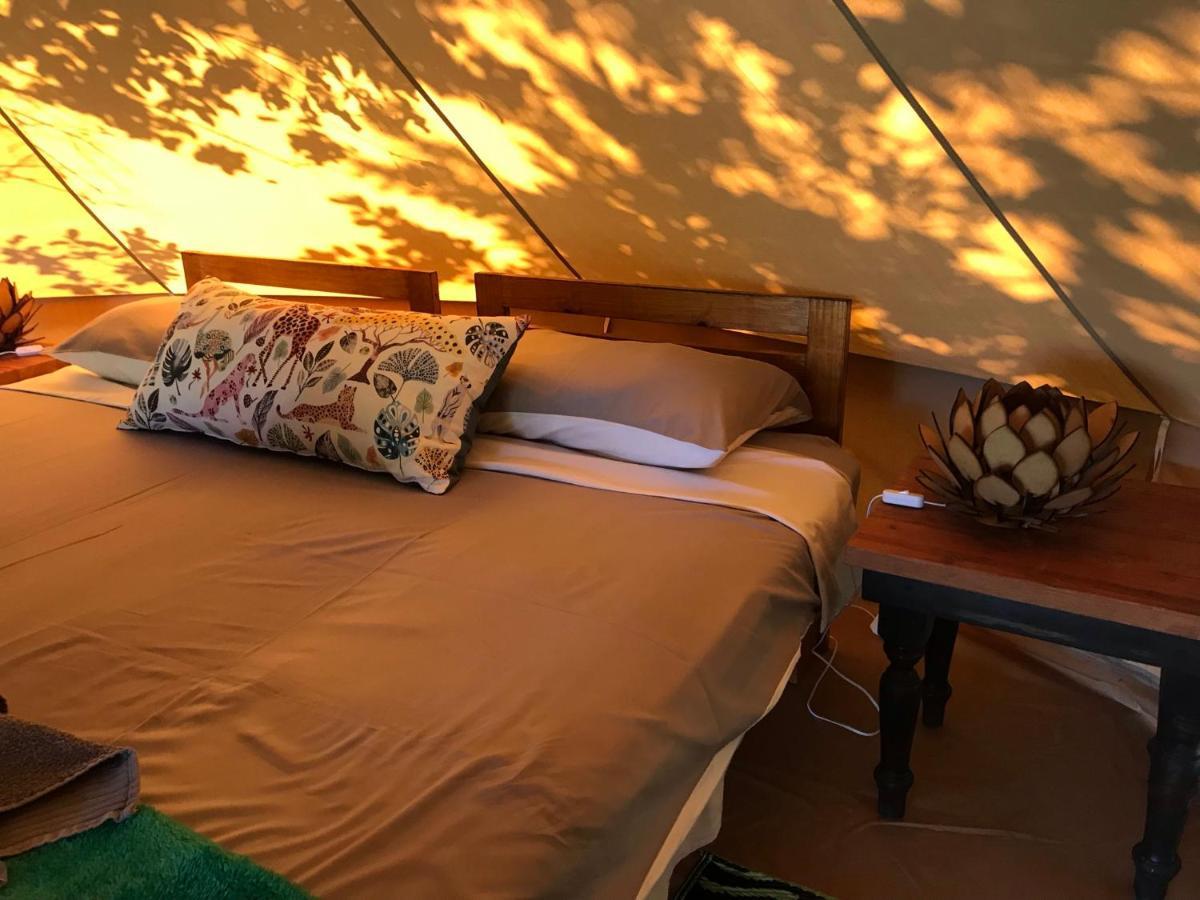 Hluhluwe Bush Camp Glamping Village Esterno foto