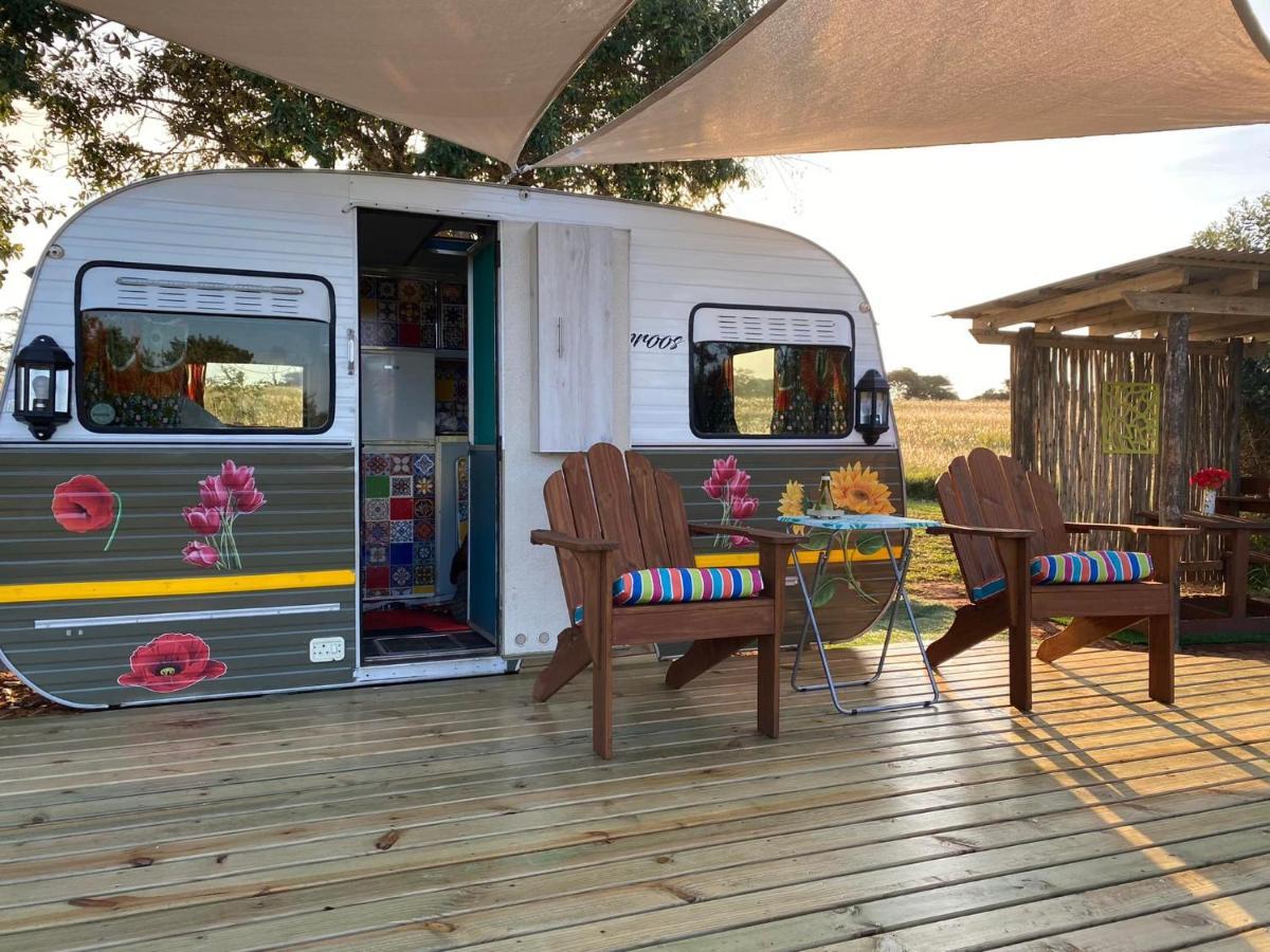 Hluhluwe Bush Camp Glamping Village Esterno foto